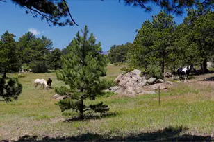 636 Ranch Rd, Ward, CO 80481 - Photo 4