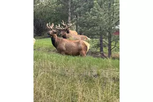 270 Choctaw Rd, Lyons, CO 80540 - Photo 36