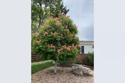 3255 20th St, Boulder, CO 80304 - Photo 20