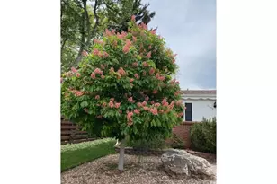 3255 20th St, Boulder, CO 80304 - Photo 20