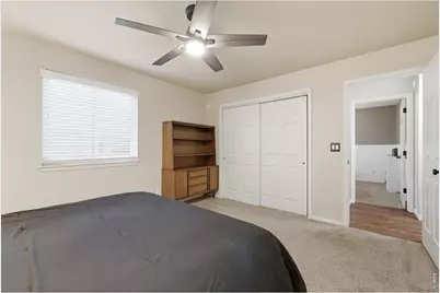216 Chestnut St, Windsor, CO 80550 - Photo 18