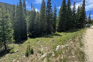 3894 4th of July Rd, Nederland, CO 80466 - Photo 1
