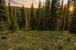 3894 4th of July Rd, Nederland, CO 80466 - Photo 1