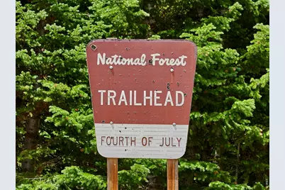3894 Fourth Of July Rd, Nederland, CO 80466 - Photo 6