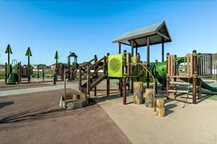 608 Vermilion Peak Dr, Windsor, CO 80550 - Photo 50