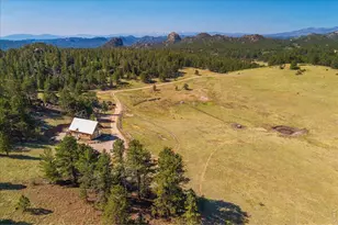 333 White Eagle Wy, Red Feather Lakes, CO 80545 - Photo 4