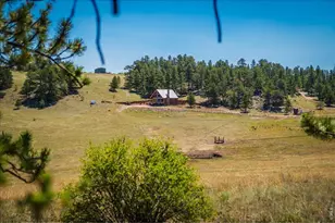 333 White Eagle Wy, Red Feather Lakes, CO 80545 - Photo 26