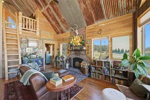 333 White Eagle Wy, Red Feather Lakes, CO 80545 - Photo 10