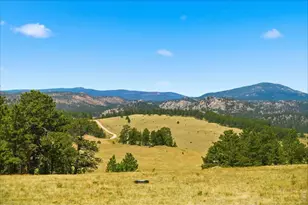333 White Eagle Wy, Red Feather Lakes, CO 80545 - Photo 30