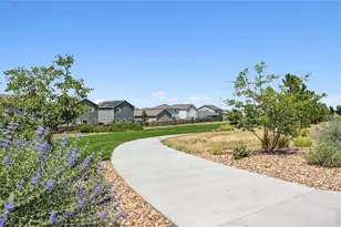 7331 Swan River St, Frederick, CO 80530 - Photo 40