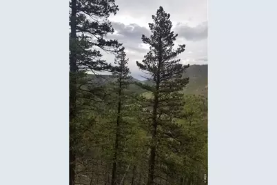 Spiritwood Ln, Bellvue, CO 80512 - Photo 40