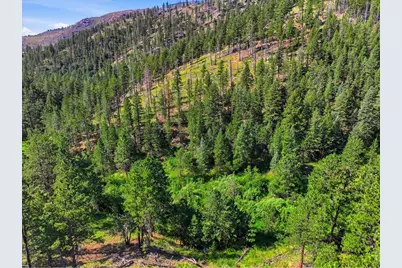Spiritwood Ln, Bellvue, CO 80512 - Photo 28