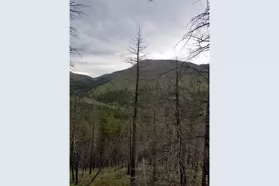 Spiritwood Ln, Bellvue, CO 80512 - Photo 38