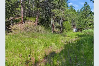 Spiritwood Ln, Bellvue, CO 80512 - Photo 10
