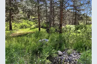 Spiritwood Ln, Bellvue, CO 80512 - Photo 16