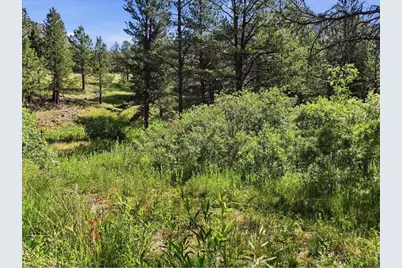 Spiritwood Ln, Bellvue, CO 80512 - Photo 14