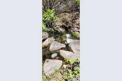 Spiritwood Ln, Bellvue, CO 80512 - Photo 22