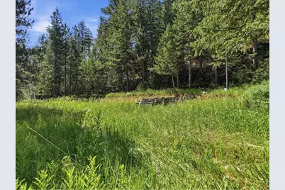 Spiritwood Ln, Bellvue, CO 80512 - Photo 8