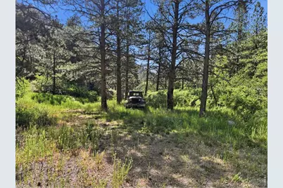 Spiritwood Ln, Bellvue, CO 80512 - Photo 4