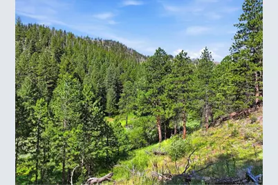 Spiritwood Ln, Bellvue, CO 80512 - Photo 30
