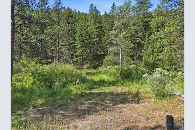 Spiritwood Ln, Bellvue, CO 80512 - Photo 2