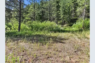 Spiritwood Ln, Bellvue, CO 80512 - Photo 12