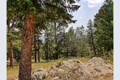 107 Miami Ct, Red Feather Lakes, CO 80545 - Photo 38