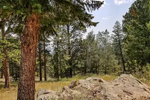 107 Miami Ct, Red Feather Lakes, CO 80545 - Photo 38