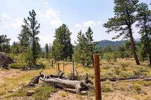 107 Miami Ct, Red Feather Lakes, CO 80545 - Photo 4