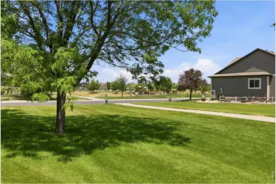 1709 Green River Dr, Windsor, CO 80550 - Photo 28
