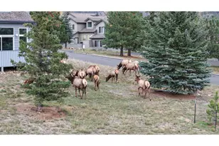 1555 Raven Cir, Estes Park, CO 80517 - Photo 2
