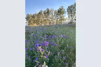 619 West County Road 66E, Fort Collins, CO 80524 - Photo 8