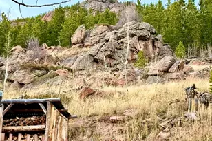 3689 Ottawa Way, Red Feather Lakes, CO 80545 - Photo 28