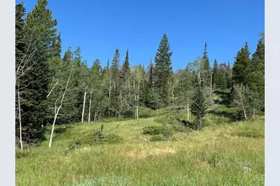 506 Elkridge Rd, Red Feather Lakes, CO 80545 - Photo 20