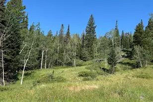 506 Elkridge Rd, Red Feather Lakes, CO 80545 - Photo 20