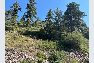 506 Elkridge Rd, Red Feather Lakes, CO 80545 - Photo 22