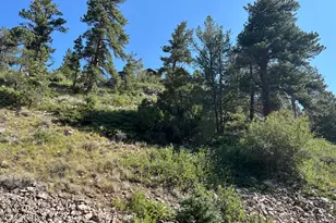 506 Elkridge Rd, Red Feather Lakes, CO 80545 - Photo 22