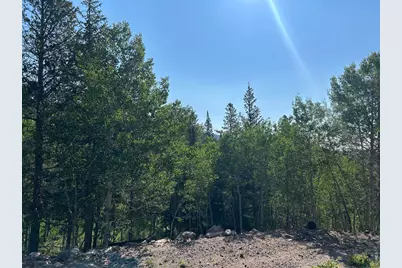 506 Elkridge Rd, Red Feather Lakes, CO 80545 - Photo 14