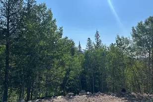 506 Elkridge Rd, Red Feather Lakes, CO 80545 - Photo 14