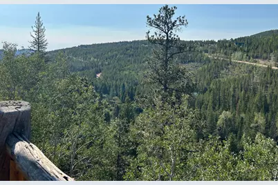 506 Elkridge Rd, Red Feather Lakes, CO 80545 - Photo 4