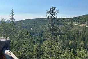 506 Elkridge Rd, Red Feather Lakes, CO 80545 - Photo 4