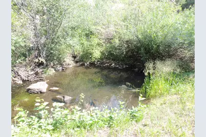 2300 Red Ashby Rd, Livermore, CO 80536 - Photo 2