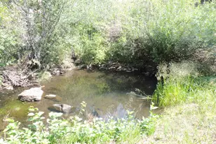 2300 Red Ashby Rd, Livermore, CO 80536 - Photo 2
