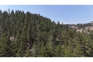 2300 Red Ashby Rd, Livermore, CO 80536 - Photo 24