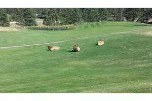 1250 S St Vrain Ave, Estes Park, CO 80517 - Photo 24