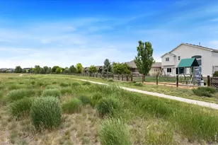 8665 Blackwood Dr, Windsor, CO 80550 - Photo 36