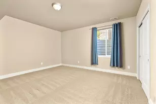 5514 Flamboro Dr, Windsor, CO 80550 - Photo 38