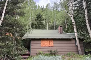 970 Bryan Ave, Nederland, CO 80466 - Photo 2