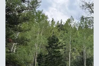 970 Bryan Ave, Nederland, CO 80466 - Photo 10