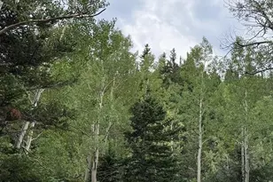 970 Bryan Ave, Nederland, CO 80466 - Photo 10